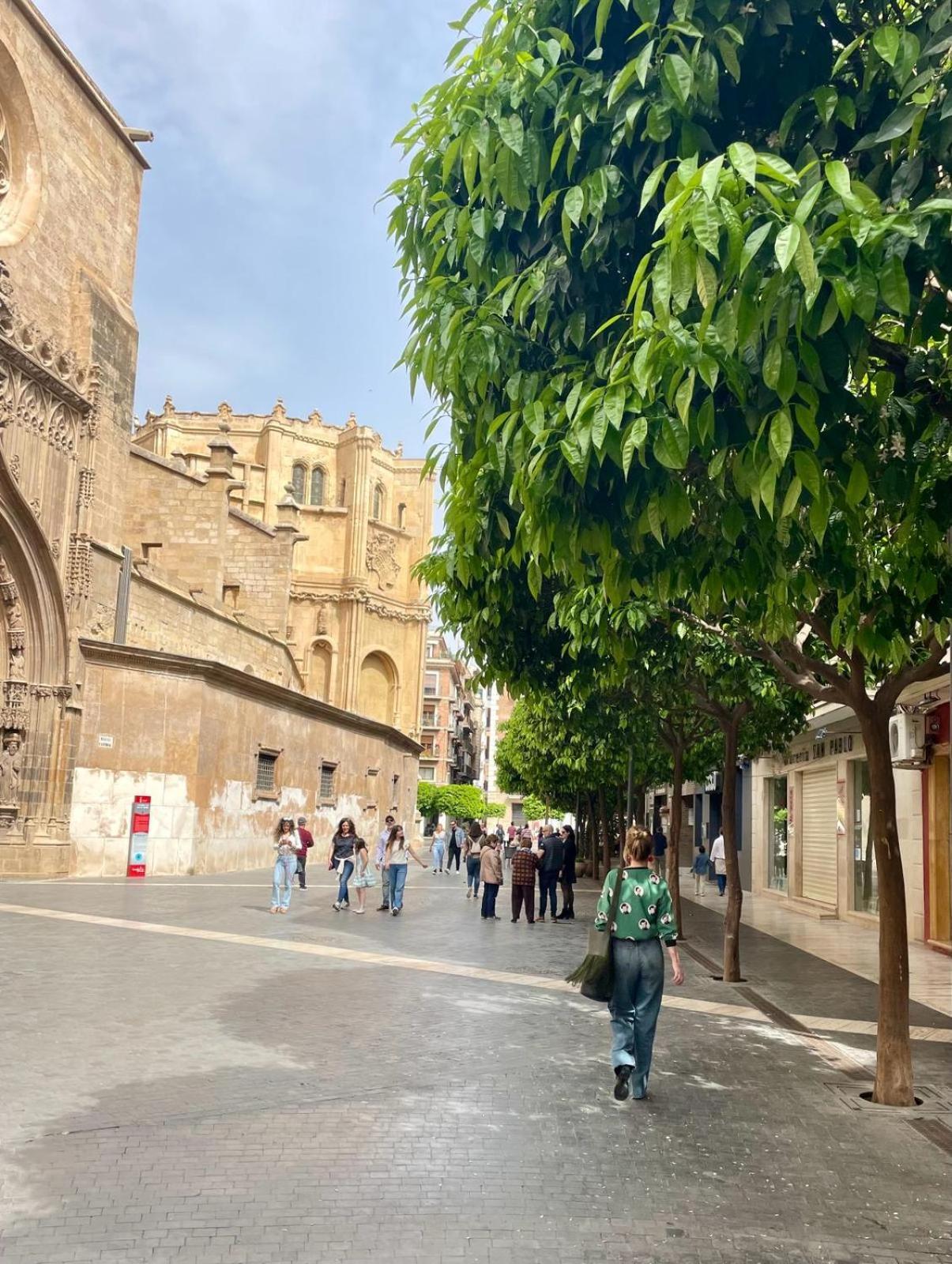 Estudio Plateria Centro Historico 木尔西亚 外观 照片